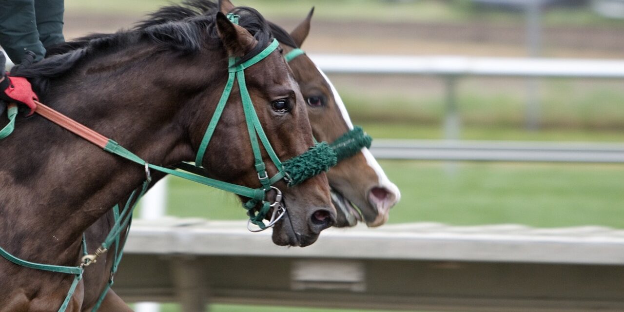 Equine Holistic Health & Wellness Guide for Stronger, Healthier Horses