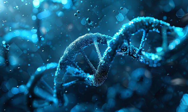 Combat Oxidative Stress Naturally