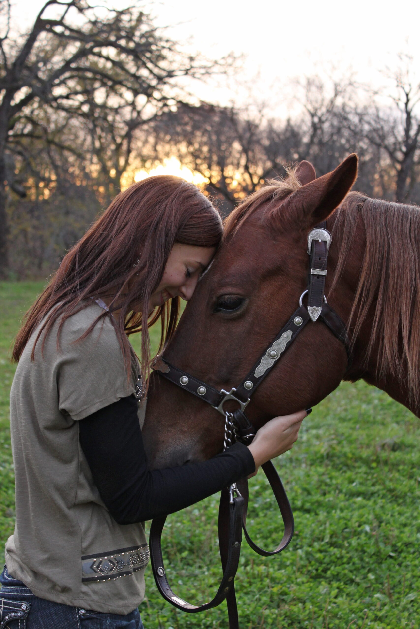 girl-horse-love-animal-c5aec817482ce3c717924d9ba558590c