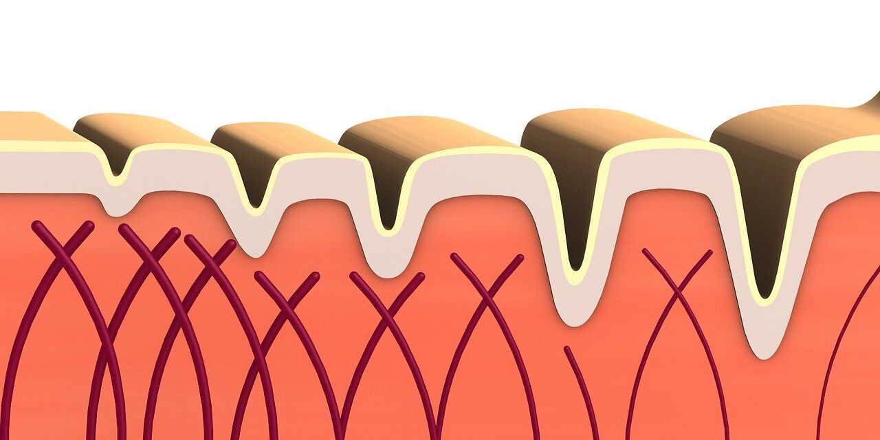 Collagen: Benefits, Types, Absorption, Risks & How It Works