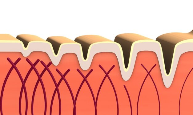 Collagen: Benefits, Types, Absorption, Risks & How It Works