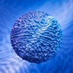 Cellular Longevity: The Hidden Key to Thriving Beyond 40